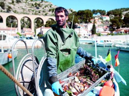 Le régime méditerranéen, les produits de mer et de pêche