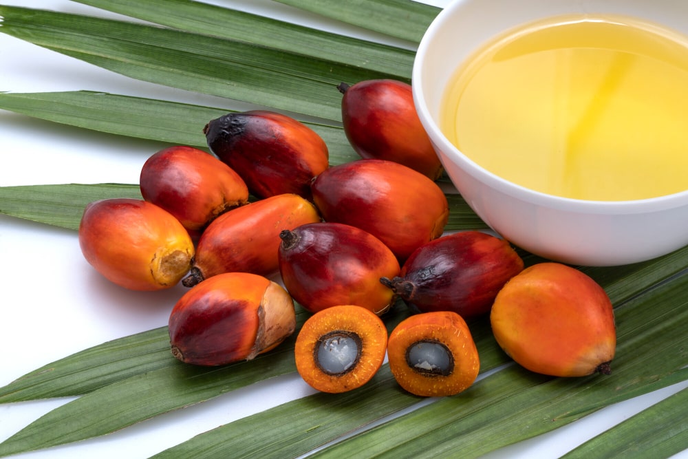 huile-de-palme