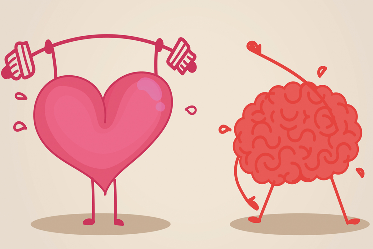 Un cœur sain semble protéger contre le vieillissement du cerveau !