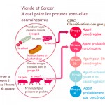 Les scientifiques ont découvert que la viande rouge provoque le cancer, ou du moins c’est ce qu’ils pensent !