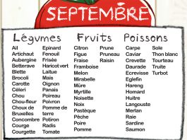 Fruits et légumes de saison, Mois de Septembre