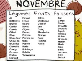 Fruits et légumes de saison, Mois de Novembre