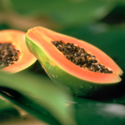 la-papaye