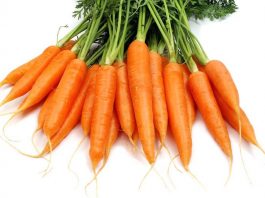 La carotte un légume sous-estimé !
