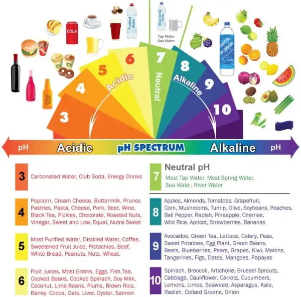 Aliments-acido-basique