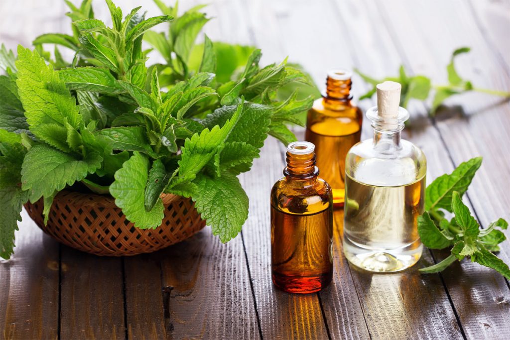 L’huile essentielle de menthe poivrée peut vous aider à arrêter la malbouffe !