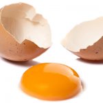 Les-œufs