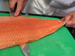 Le saumon d'élevage, un des aliments les plus toxiques dans le monde !