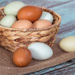 Que se passe t-il si nous mangeons 3 œufs entiers par jour ?