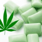 Chewing Gum au cannabis pour soulager la fibromyalgie !