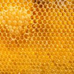La vérité sur le miel brut !