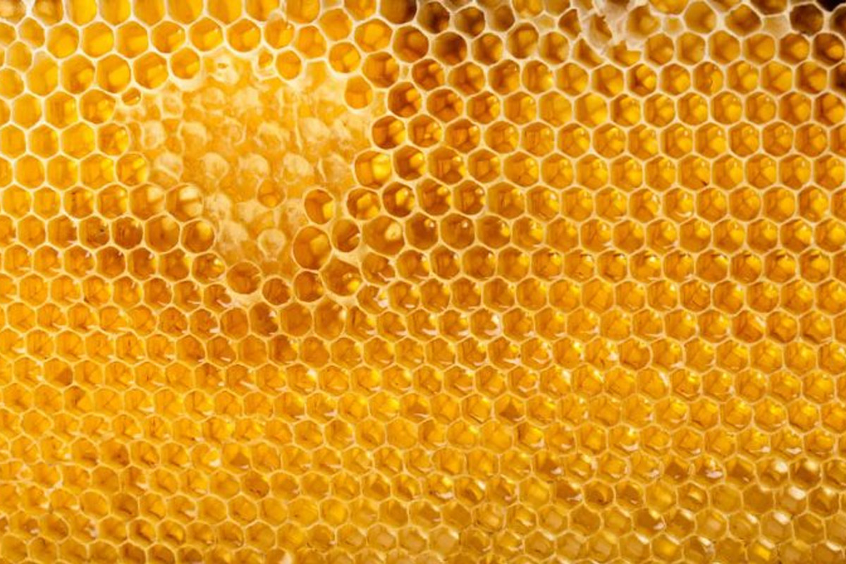 La vérité sur le miel brut !