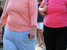 5 raisons, nous sommes plus gros qu'il y a 30 ans - ce n'est ni la nourriture, ni l’activité physique !