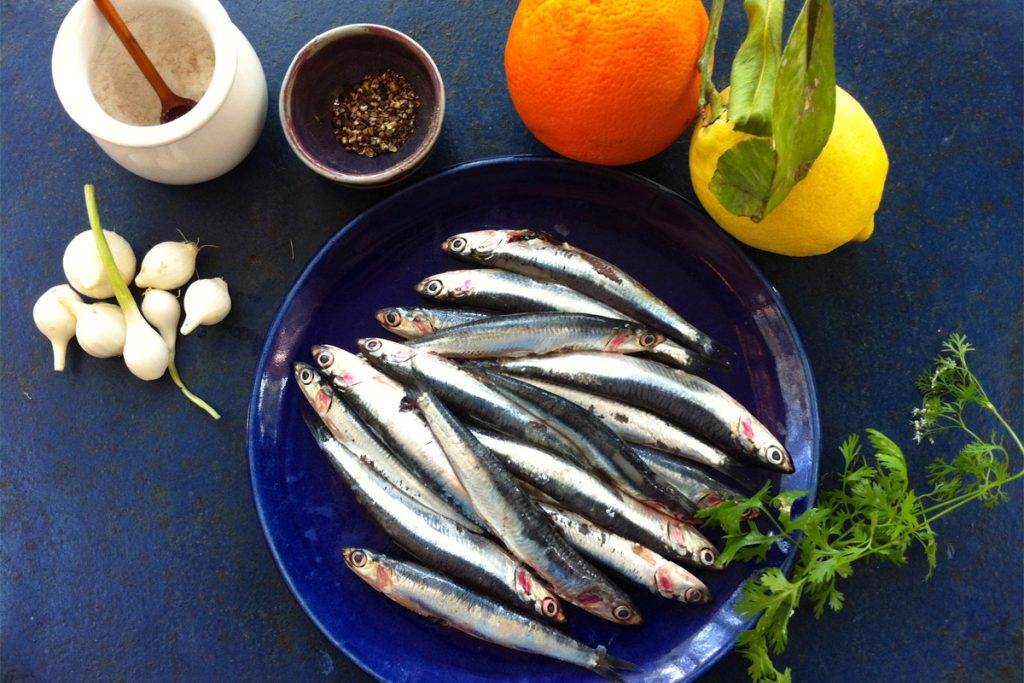 L’anchois, "amarou" pour Nice, "amplovo" en Provence...