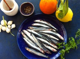 L’anchois, "amarou" pour Nice, "amplovo" en Provence...