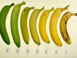 Mangez-vous vos bananes au bon moment ?