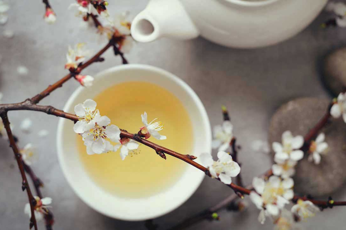 10 avantages impressionnants du thé blanc !