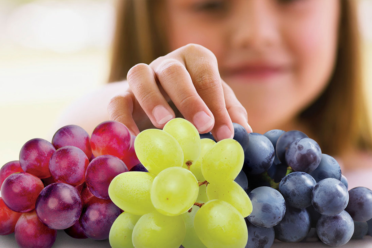 10 bienfaits santé du raisin !