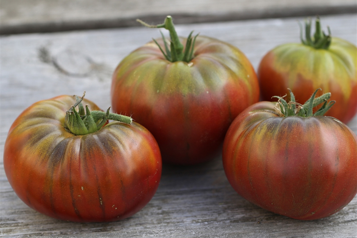 7 bienfaits de la tomate sur la santé !