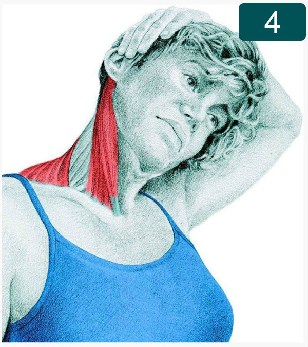 Flexion latérale du cou avec une assistance par la main