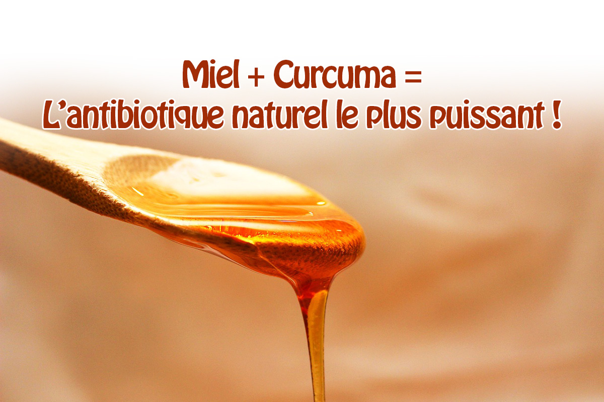 Ce mélange de miel et de curcuma est l'un des plus puissants antibiotiques naturels !