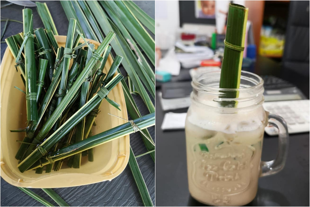 Un café aux Philippines utilise maintenant des pailles faites de feuilles de cocotier pour éliminer les déchets plastiques !