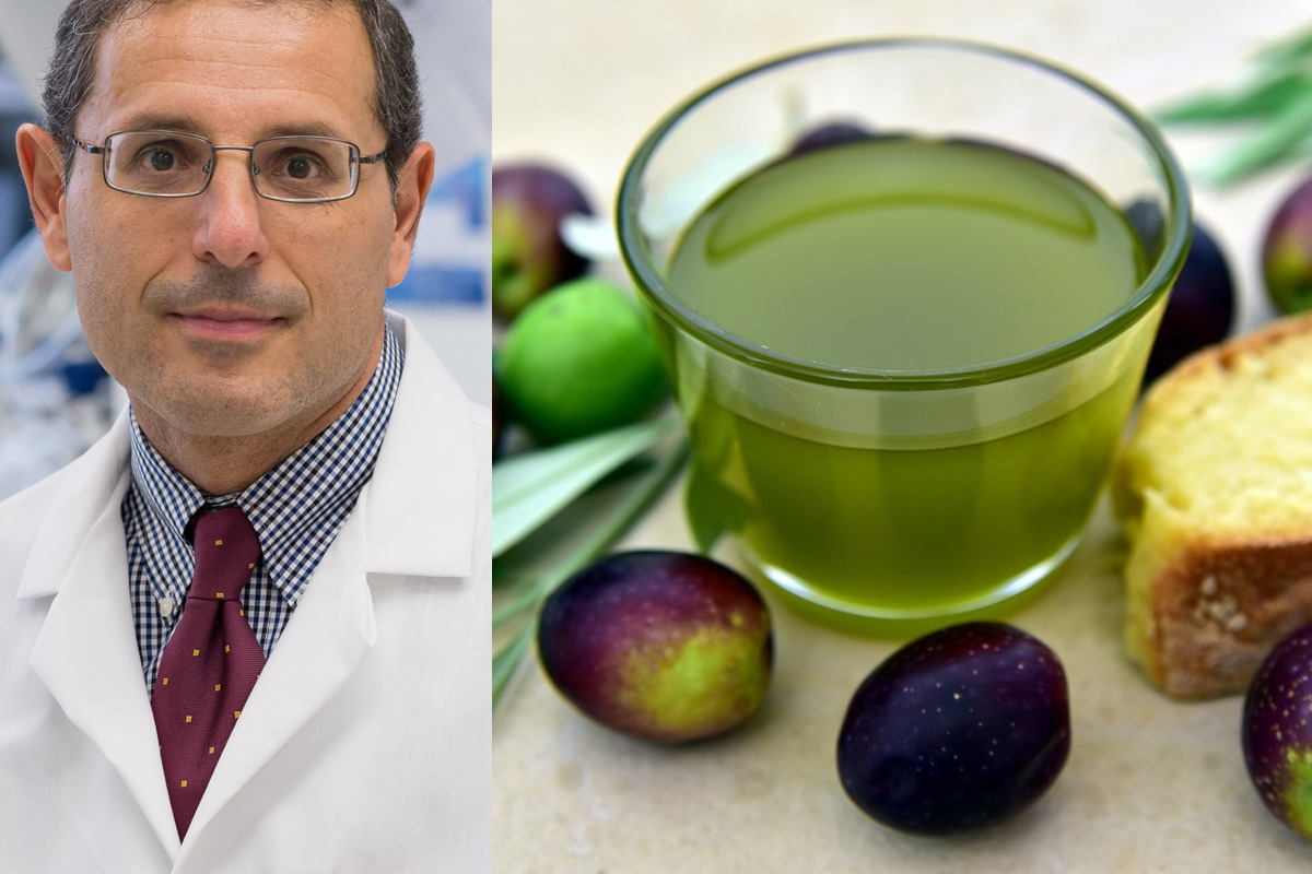 L'huile d'olive nourrit le cerveau et peut protéger contre la maladie d'Alzheimer