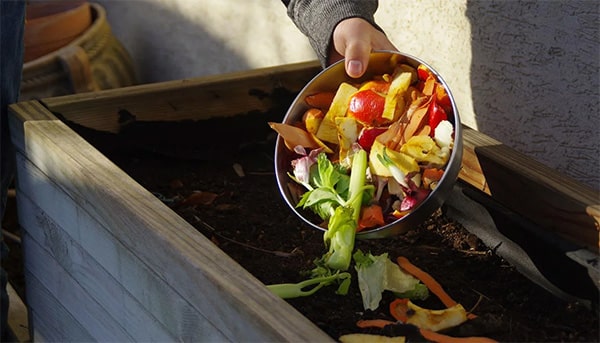 régime alimentaire durable - Compost