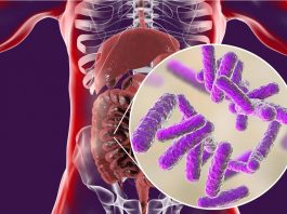 Le microbiome intestinal pourrait être la "boîte noire" de la recherche en nutrition