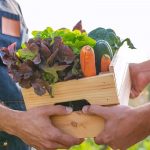 Alimentation durable : Comment adopter un régime alimentaire durable ?