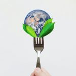 Quel régime permettra de sauver notre planète : climatarien, flexitarien, végétarien, végétalien ou méditerranéen ?
