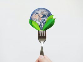 Quel régime permettra de sauver notre planète : climatarien, flexitarien, végétarien, végétalien ou méditerranéen ?