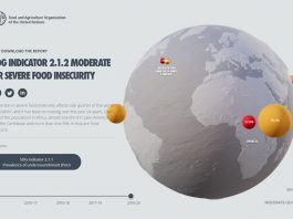 Carte interactive : Insécurité alimentaire dans le monde