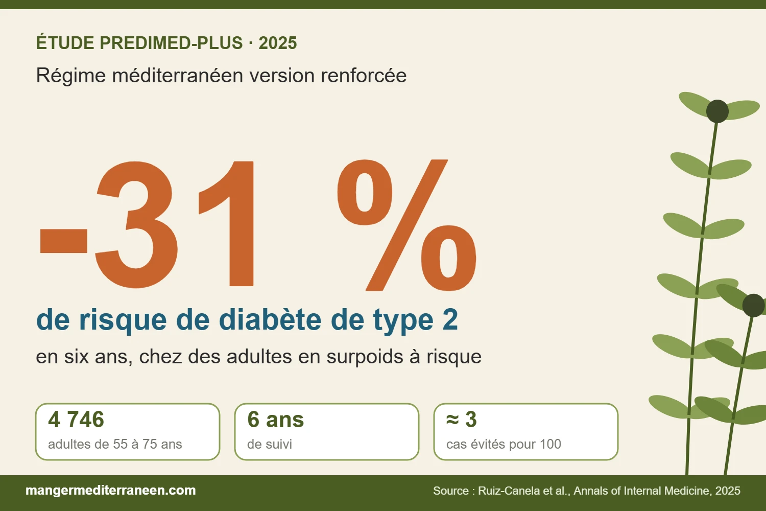 PREDIMED-Plus : le régime méditerranéen « version renforcée » réduit de 31 % le risque de diabète de type 2